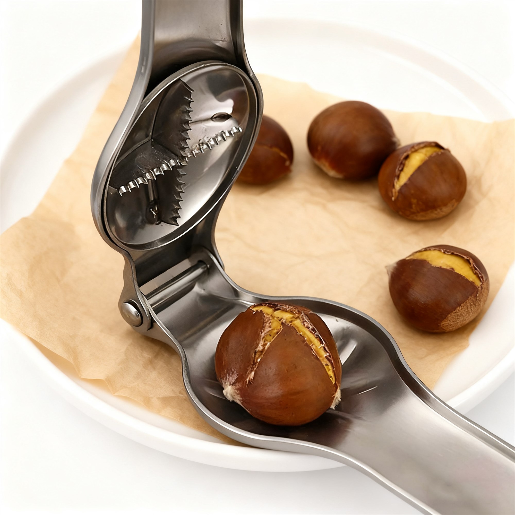 High - Quality Stainless Steel - Dry Food Snacks 评论和价格